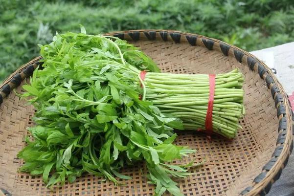 藜蒿有什么營養(yǎng)價(jià)值 藜蒿的禁忌 藜蒿有什么營養(yǎng)價(jià)值 藜蒿的禁忌