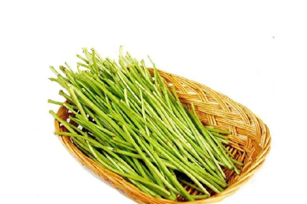 藜蒿會上火嗎 藜蒿會胖嗎 藜蒿會上火嗎 藜蒿會胖嗎