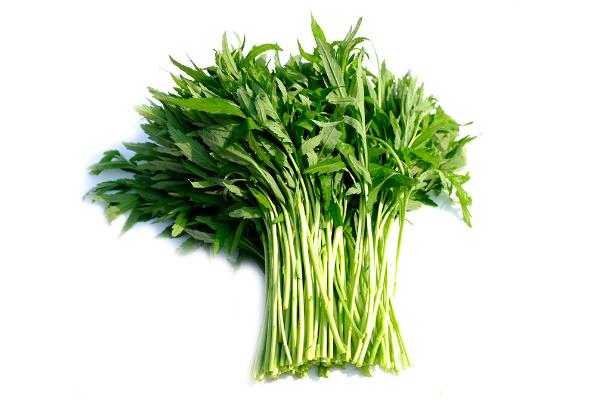 藜蒿怎么保存長久 藜蒿的葉子可以吃嗎 藜蒿怎么保存長久 藜蒿的葉子可以吃嗎