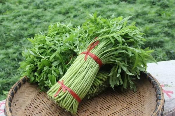 藜蒿有什么營養(yǎng)價(jià)值 藜蒿的禁忌 藜蒿有什么營養(yǎng)價(jià)值 藜蒿的禁忌