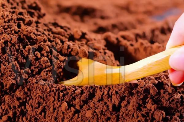 可可粉是不是巧克力粉 可可粉是苦的還是甜的 可可粉是不是巧克力粉 可可粉是苦的還是甜的