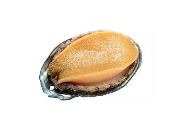 鮑魚(yú)要放冰箱嗎 鮑魚(yú)要?dú)⒁幌聠?><p><strong>鮑魚(yú)要放冰箱嗎 鮑魚(yú)要?dú)⒁幌聠?/strong></p></a></li> <li><a href=