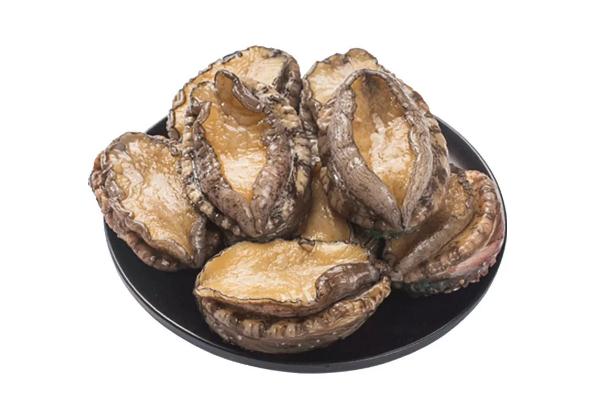 鮑魚會(huì)發(fā)胖么 鮑魚會(huì)上火嗎 鮑魚會(huì)發(fā)胖么 鮑魚會(huì)上火嗎