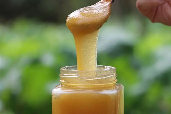 土蜂蜜和普通蜂蜜的區(qū)別 土蜂蜜和普通蜂蜜哪個好