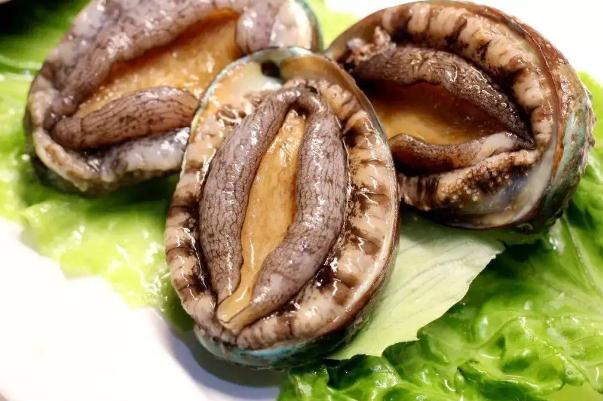 鮑魚(yú)的功效與作用及營(yíng)養(yǎng) 鮑魚(yú)怎么處理干凈 鮑魚(yú)的功效與作用及營(yíng)養(yǎng) 鮑魚(yú)怎么處理干凈