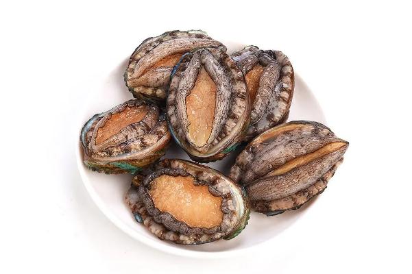 鮑魚(yú)的功效與作用及營(yíng)養(yǎng) 鮑魚(yú)怎么處理干凈 鮑魚(yú)的功效與作用及營(yíng)養(yǎng) 鮑魚(yú)怎么處理干凈