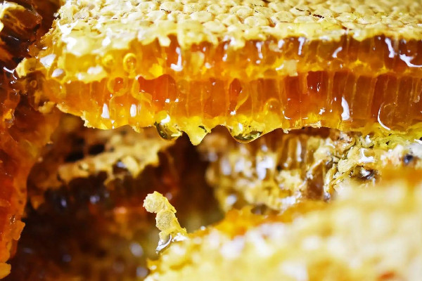 土蜂蜜要放冰箱保存嗎 土蜂蜜放冰箱可以保存多久 土蜂蜜要放冰箱保存嗎 土蜂蜜放冰箱可以保存多久