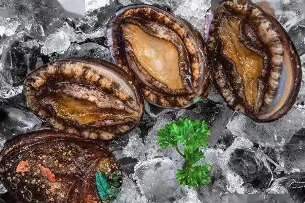 鮑魚有牙齒嗎 鮑魚有幾頭什么意思 鮑魚有牙齒嗎 鮑魚有幾頭什么意思