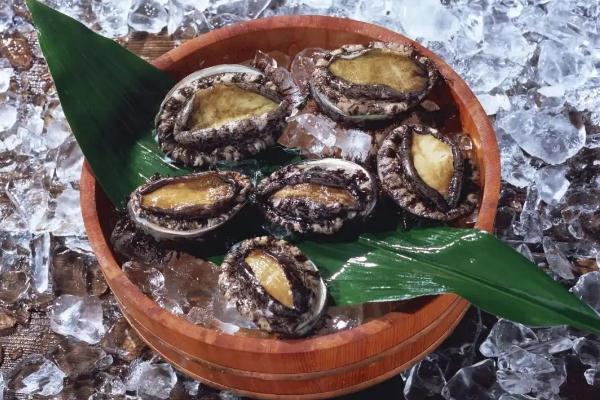 鮑魚(yú)對(duì)女人作用與功效 鮑魚(yú)對(duì)男人作用與功效 鮑魚(yú)對(duì)女人作用與功效 鮑魚(yú)對(duì)男人作用與功效