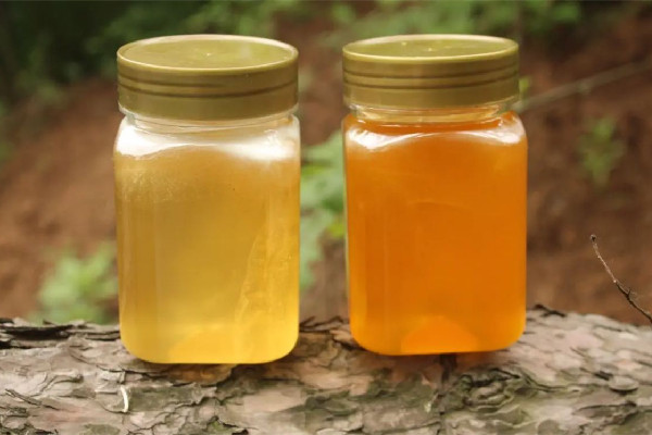 土蜂蜜和普通蜂蜜的區(qū)別 土蜂蜜和普通蜂蜜哪個好