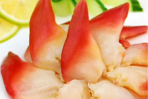 北極貝和北寄貝是同一種東西嗎 北極貝是什么樣的 北極貝和北寄貝是同一種東西嗎 北極貝是什么樣的