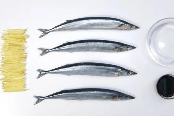 秋刀魚有沒有刺 秋刀魚有藍色的斑點 秋刀魚有沒有刺 秋刀魚有藍色的斑點