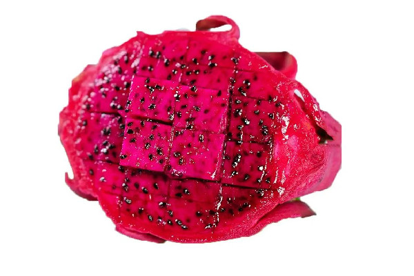 火龍果價格多少錢一斤 紅心火龍果多少錢一斤2022 火龍果價格多少錢一斤 紅心火龍果多少錢一斤2022