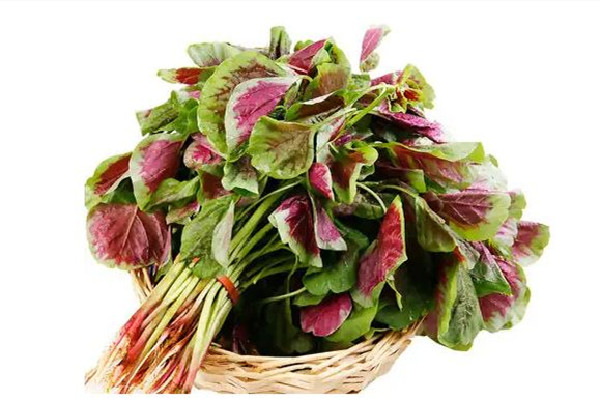 紅莧菜可以補血嗎 紅莧菜適合什么人吃 紅莧菜可以補血嗎 紅莧菜適合什么人吃