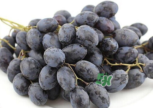 黑提子多少錢一斤2022 黑提為什么那么貴 黑提子多少錢一斤2022 黑提為什么那么貴