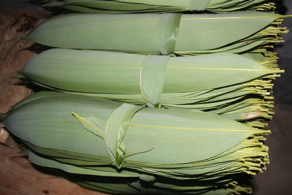 粽葉買什么樣的好 粽葉會不會壞 粽葉買什么樣的好 粽葉會不會壞