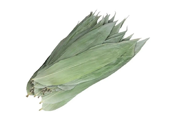 粽葉是新鮮的好還是干的好 粽葉買回來怎么處理 粽葉是新鮮的好還是干的好 粽葉買回來怎么處理