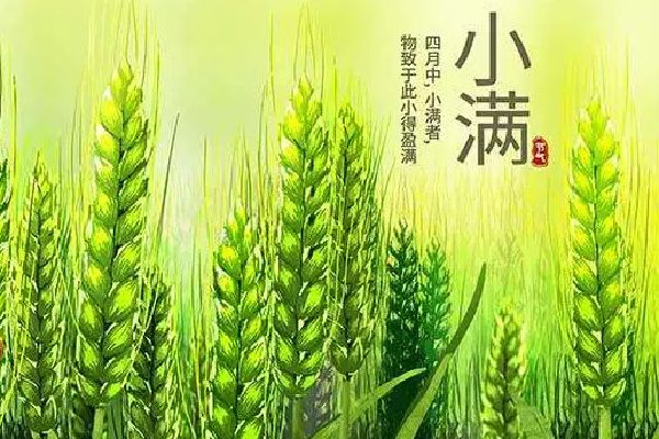 小滿可以剪頭發(fā)嗎 小滿理發(fā)好嗎 小滿可以剪頭發(fā)嗎 小滿理發(fā)好嗎