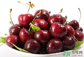 智利車?yán)遄觾r格 車?yán)遄觾r格2022 智利車?yán)遄觾r格 車?yán)遄觾r格2022