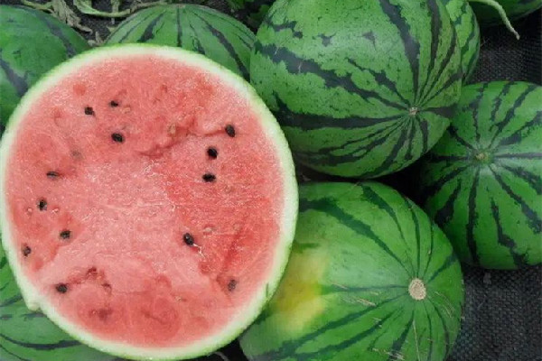 西瓜是高糖還是低糖水果 西瓜不適合什么人吃 西瓜是高糖還是低糖水果 西瓜不適合什么人吃