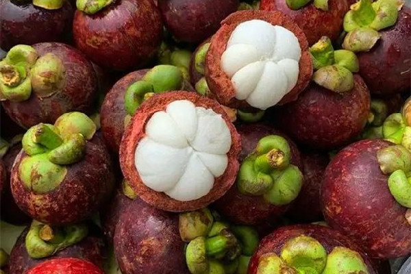 山竹多少錢(qián)一斤 山竹價(jià)格 山竹多少錢(qián)一斤 山竹價(jià)格