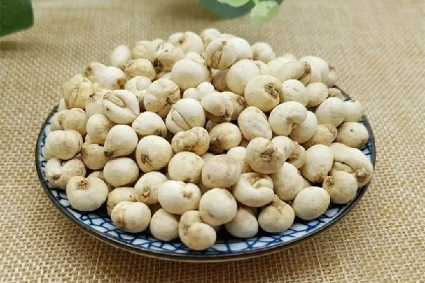 川貝要不要碾碎 川貝可以吃嗎 川貝要不要碾碎 川貝可以吃嗎