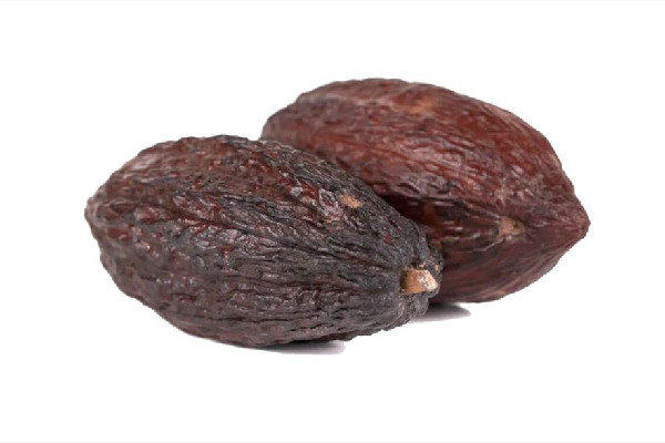 可可果的功效與作用 可可果可以做什么 可可果的功效與作用 可可果可以做什么