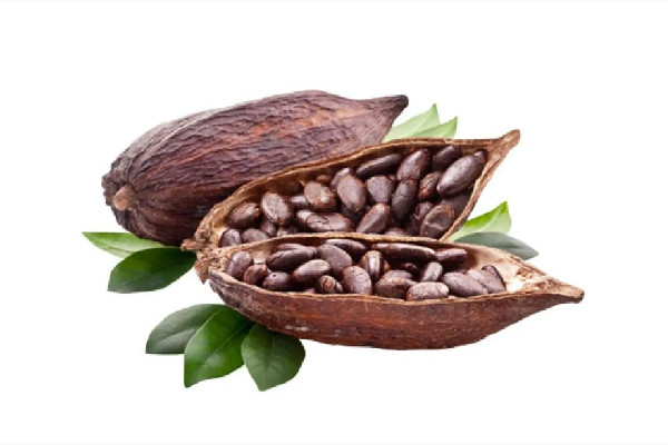 可可果的功效與作用 可可果可以做什么 可可果的功效與作用 可可果可以做什么