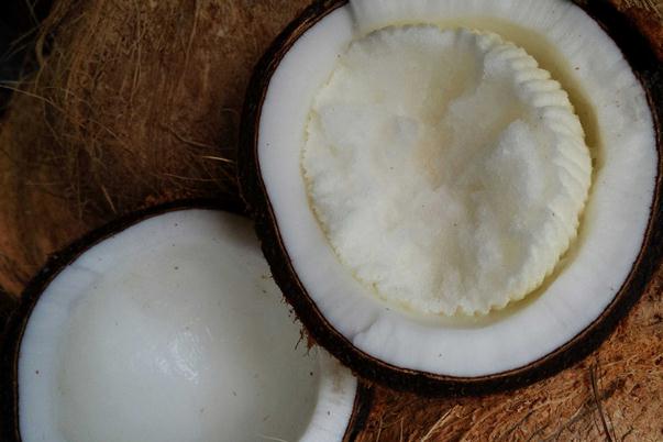 椰寶要怎么打開(kāi) 椰寶要放冰箱嗎 椰寶要怎么打開(kāi) 椰寶要放冰箱嗎