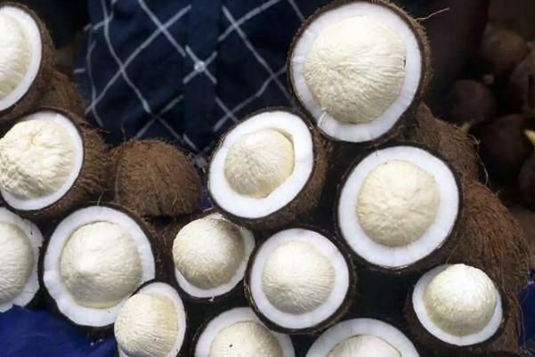 椰寶要怎么打開(kāi) 椰寶要放冰箱嗎 椰寶要怎么打開(kāi) 椰寶要放冰箱嗎