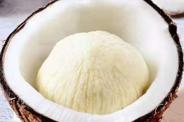 椰寶的口感 椰寶是怎么形成的 椰寶的口感 椰寶是怎么形成的