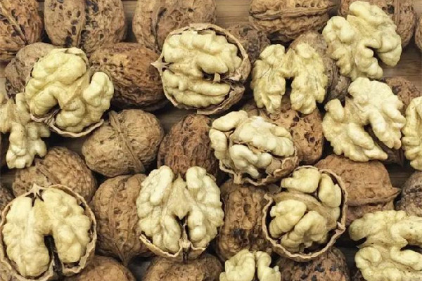 紙皮核桃和普通核桃哪個營養(yǎng)價值高 紙皮核桃和普通核桃區(qū)別 紙皮核桃和普通核桃哪個營養(yǎng)價值高 紙皮核桃和普通核桃區(qū)別