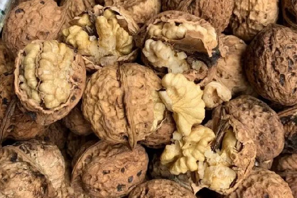 紙皮核桃放久了不脆了能吃嗎 紙皮核桃變質(zhì)成什么樣不能吃 紙皮核桃放久了不脆了能吃嗎 紙皮核桃變質(zhì)成什么樣不能吃