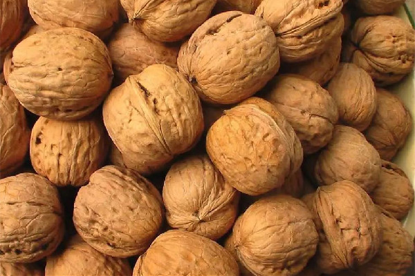 紙皮核桃有營(yíng)養(yǎng)嗎 紙皮核桃的功效與作用 紙皮核桃有營(yíng)養(yǎng)嗎 紙皮核桃的功效與作用