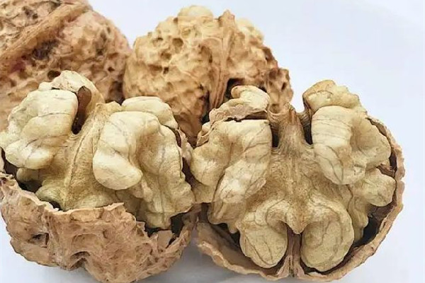 紙皮核桃吃生的好還是熟的好 紙皮核桃吃起來(lái)有點(diǎn)苦是怎么回事 紙皮核桃吃生的好還是熟的好 紙皮核桃吃起來(lái)有點(diǎn)苦是怎么回事