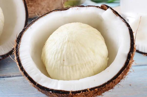 椰寶是什么 椰寶有什么營(yíng)養(yǎng)價(jià)值 椰寶是什么 椰寶有什么營(yíng)養(yǎng)價(jià)值