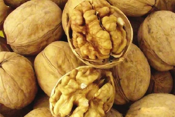 紙皮核桃為什么皮那么薄 紙皮核桃要用核桃夾嗎 紙皮核桃為什么皮那么薄 紙皮核桃要用核桃夾嗎