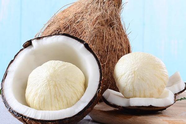 椰寶是什么 椰寶有什么營(yíng)養(yǎng)價(jià)值 椰寶是什么 椰寶有什么營(yíng)養(yǎng)價(jià)值