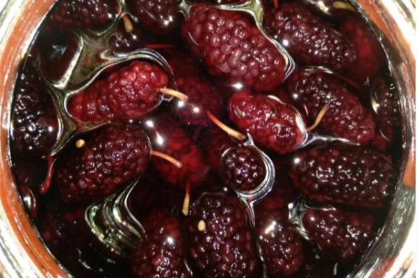 桑葚酒要放冰糖嗎 桑葚酒放糖和不放糖的區(qū)別 桑葚酒要放冰糖嗎 桑葚酒放糖和不放糖的區(qū)別