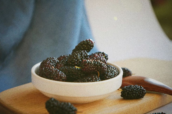 桑葚吃多了有什么壞處 桑葚吃多少合適 桑葚吃多了有什么壞處 桑葚吃多少合適