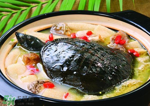 甲魚多少錢一斤 甲魚多少錢一斤市場(chǎng)價(jià)2022 甲魚多少錢一斤 甲魚多少錢一斤市場(chǎng)價(jià)2022