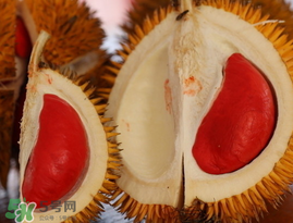 榴蓮多少錢(qián)一斤2022年 榴蓮有國(guó)產(chǎn)的嗎 榴蓮多少錢(qián)一斤2022年 榴蓮有國(guó)產(chǎn)的嗎