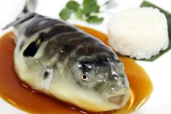 河豚中毒的特點是什么 河豚中毒是什么原因 河豚中毒的特點是什么 河豚中毒是什么原因