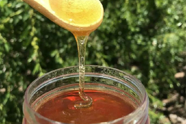 棗花蜜和洋槐蜜哪個好 棗花蜜和洋槐蜜的區(qū)別 棗花蜜和洋槐蜜哪個好 棗花蜜和洋槐蜜的區(qū)別