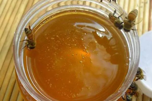 棗花蜜有紅棗的味道嗎 棗花蜜味道怎么怪怪的 棗花蜜有紅棗的味道嗎 棗花蜜味道怎么怪怪的