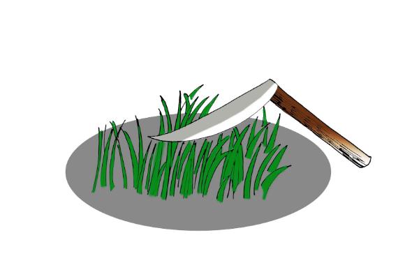 割韭菜是什么意思 割韭菜的套路是什么 割韭菜是什么意思 割韭菜的套路是什么