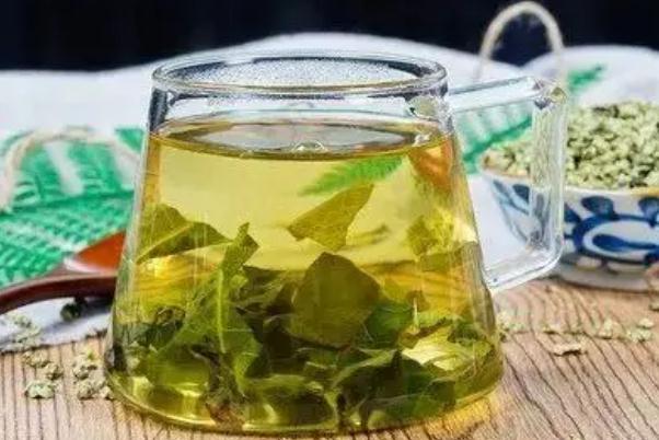 荷葉茶的副作用 荷葉茶的禁忌 荷葉茶的副作用 荷葉茶的禁忌