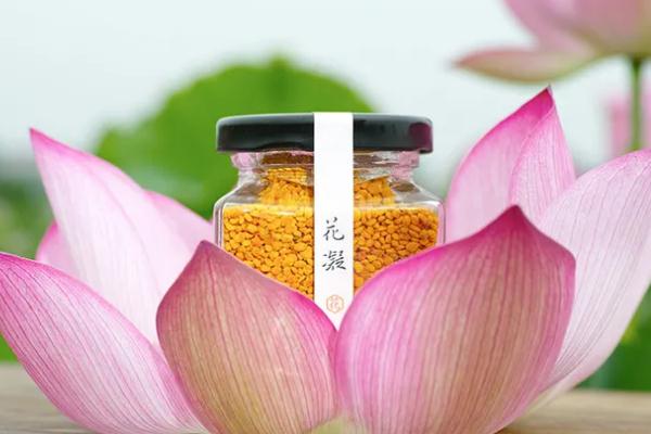 荷花粉的保質期是多長時間 荷花粉的副作用 荷花粉的保質期是多長時間 荷花粉的副作用