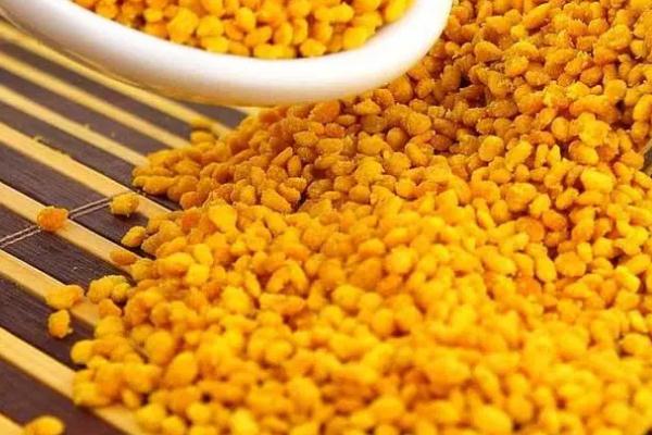 荷花粉孕婦可以吃嗎 荷花粉可以長期吃嗎 荷花粉孕婦可以吃嗎 荷花粉可以長期吃嗎