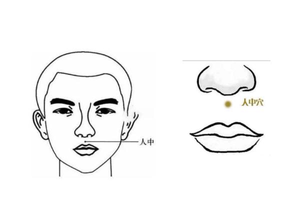 上巴是什么梗 上巴是哪個部位 上巴是什么梗 上巴是哪個部位